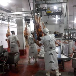 Paneles de alta prestación